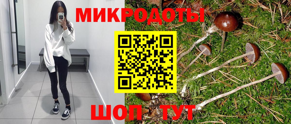 Урай  Галлюциногенные грибы Cubensis  Вход с VPN 
