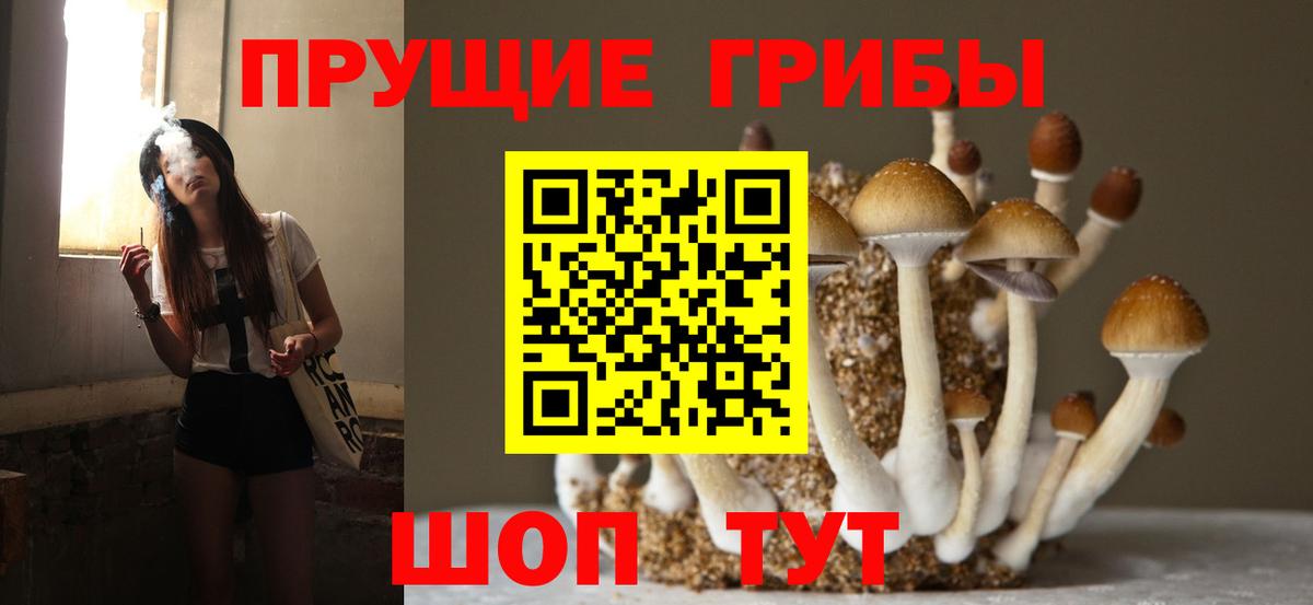 Галлюциногенные грибы Cubensis Урай